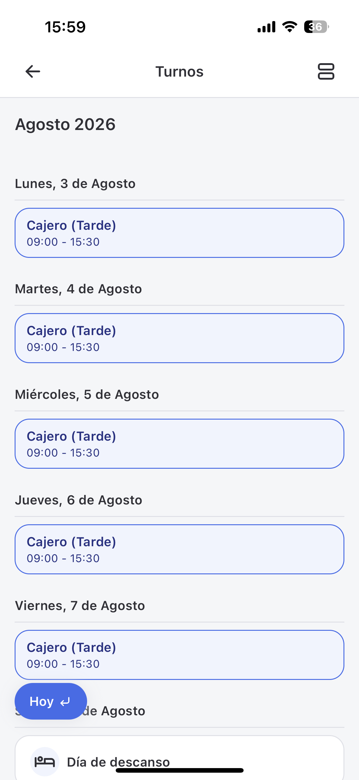 Detalle de información mostrada en la vista de agenda