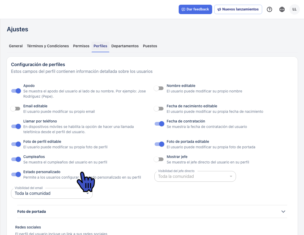 Custom status toggle enabled in Settings > Profiles