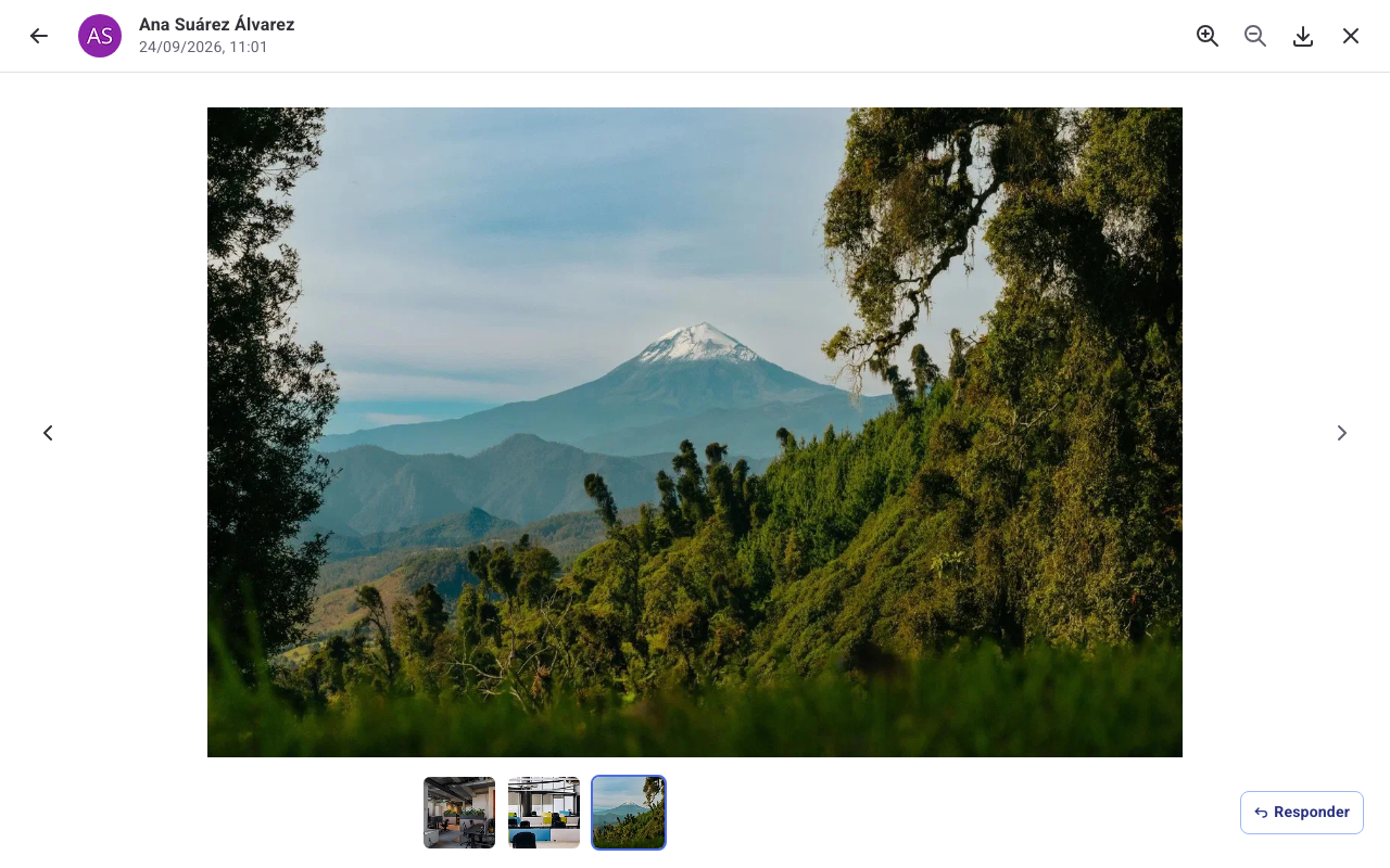 Visor de imágenes en pantalla completa en Humand Web con las miniaturas de las fotos de la conversación