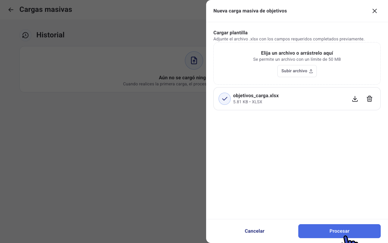 Panel Nueva carga masiva de objetivos con el archivo adjunto y el botón Procesar