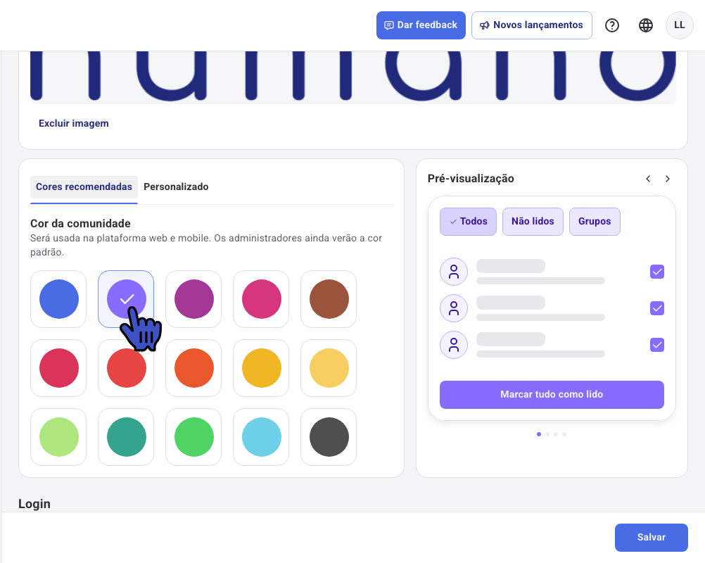 Cores recomendadas com uma cor selecionada e a Pré-visualização atualizada