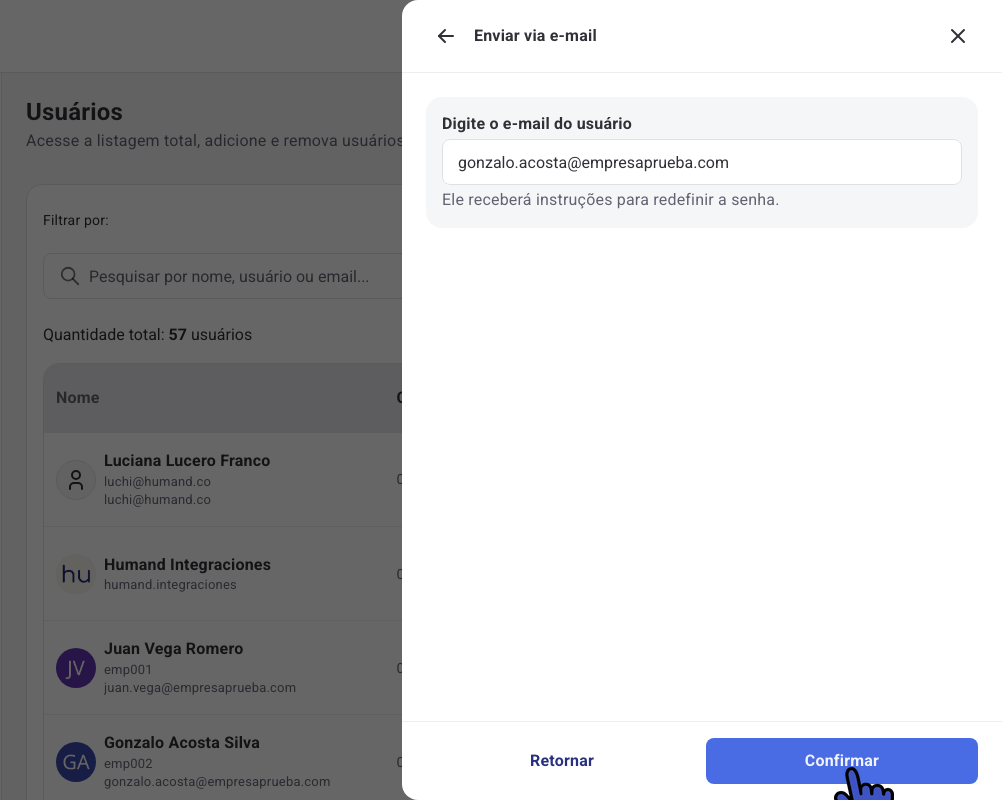 Painel Enviar via e-mail com o e-mail do usuário e o botão Confirmar