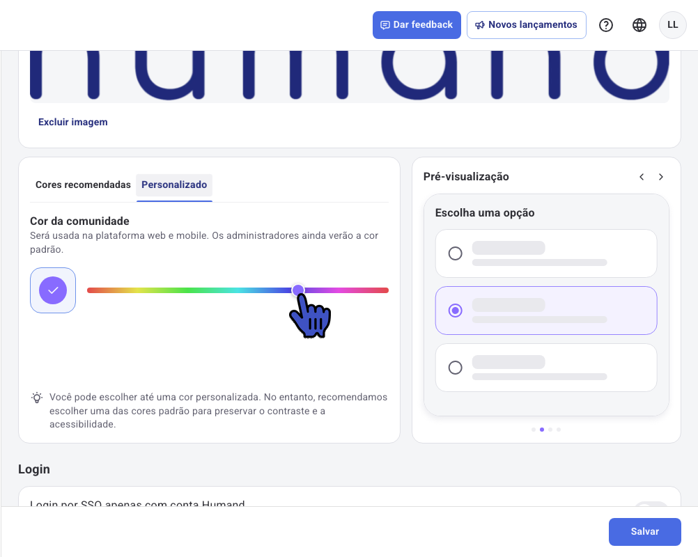 Aba Personalizado com o seletor de tom e a Pré-visualização